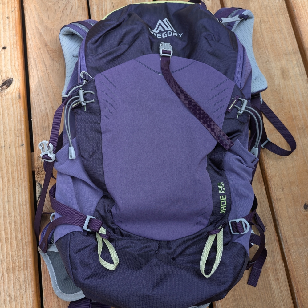 Gregory Purple Women's Backpack
